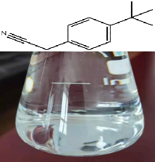 对叔丁基氰苄
