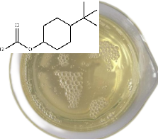 4-叔丁基环己基氯甲酸酯