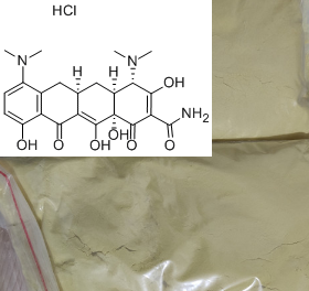 盐酸米诺环素