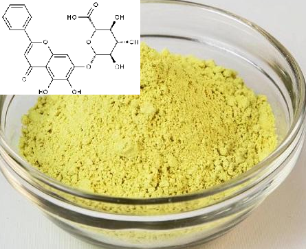 黄芩苷