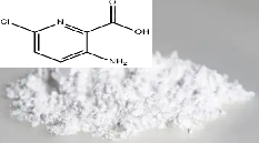 3-氨基-6-氯吡啶-2-羧酸