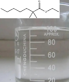 Heptanoic acid, 2,2-dimethyl-, ethyl ester
