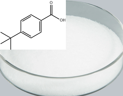 对叔丁基苯甲酸