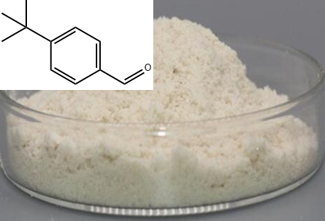 对叔丁基苯甲醛