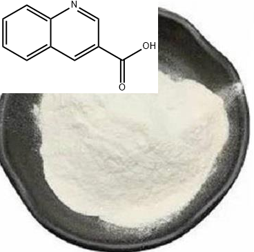 喹啉-3-羧酸