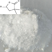2,2-二甲基琥珀酸酐