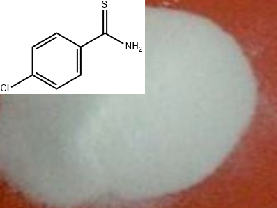 4-氯硫代苯甲酰胺