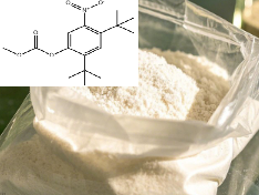 2,4-二叔丁基-5-硝基苯酚甲酸甲酯