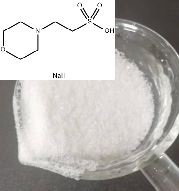 2-吗啉乙磺酸半钠盐