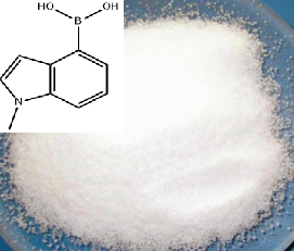 1-甲基吲哚-4-硼酸