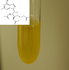 2-氟-2',3',5'-三氧乙酰基腺苷