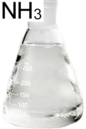 氨