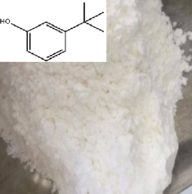 3-叔丁基苯酚